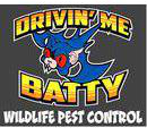 Drivin' Me Batty Inc - Holly, MI