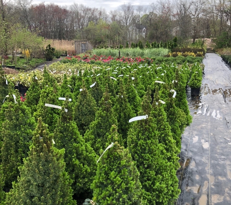 West Meadow Nursery - West Bridgewater, MA