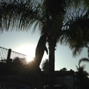 Castillo Inn - Bed & Breakfast & Inns