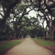 Rosedown Plantation State Historic Site