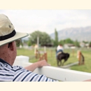 Beehive Homes of Spanish Fork - Nursing Homes-Skilled Nursing Facility