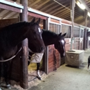 Rockmeadow Equestrian Center - Riding Academies