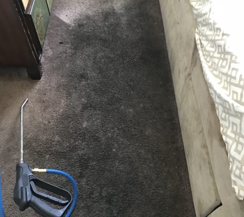 Max Impact Carpet Cleaning - Philadelphia, PA. Before