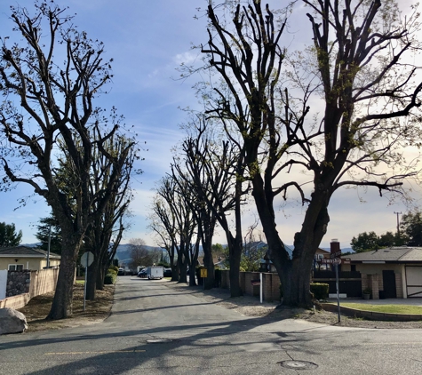 Escalante Tree Service