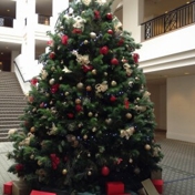 Gallery Image Number 5