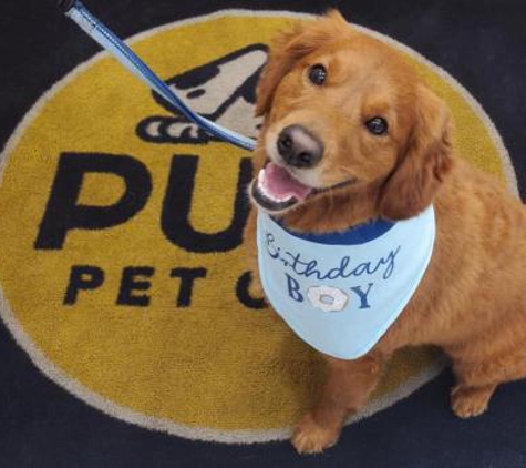 Pups Pet Club - Chicago, IL