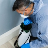A Zap Pest Control gallery