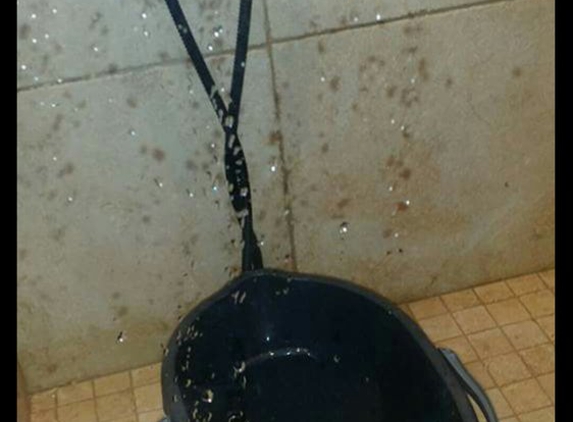 Stoddard Plumbing - Concord, CA. How I have to shower from a bucket after Stoddard's 15,000 " septic job"