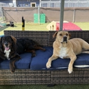The Dog Eaze Inn - Pet Services