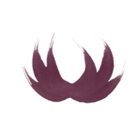 Northwest Plastic Surgery Associates