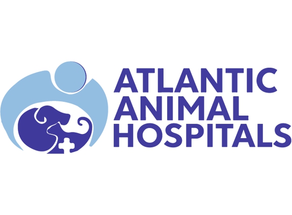 Atlantic Animal Hospital – Ormond Beach - Ormond Beach, FL