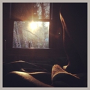 Rustic Dreams Bed and Breakfast - Bed & Breakfast & Inns