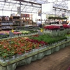 Cornelius Nursery gallery