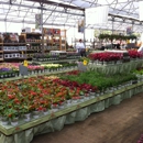 Cornelius Nursery - Garden Centers