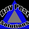 Bay Pest Solutions gallery