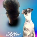 Colorful Canines - Pet Services