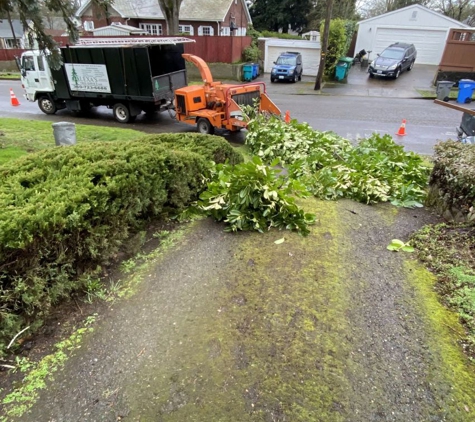 Alexa's Tree Service LLC - Vancouver, WA