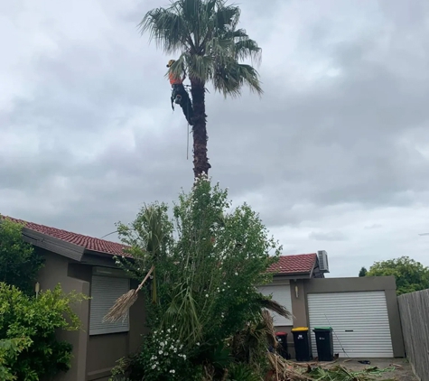 Harringtons Tree Services - Mount Evelyn, VIC