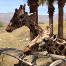 The Living Desert Zoo & Gardens - Zoos