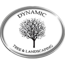Dynamic Tree & Landscaping - Tree Service