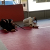 Ralph Gracie Jui Jitsu - San Jose gallery