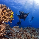 Kona Ocean Adventures - Diving Excursions & Charters