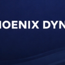 Phoenix Dynasty Group - Nour Mohsen Rezk - Insurance