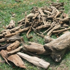 Palmetto Driftwood