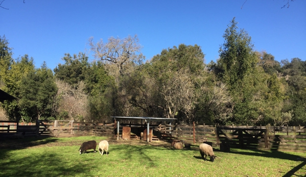 Deer Hollow Farm - Los Altos, CA