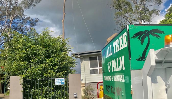 All Tree And Palm Trimming And Removal