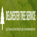 Delchester Tree Service - Stump Removal & Grinding