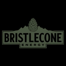Bristlecone Energy - Solar Energy Equipment & Systems-Dealers