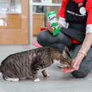 Atlanta Humane Society - Mansell Campus - Animal Shelters