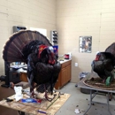 Jim's Wildlife Creations Taxidermy - Taxidermists