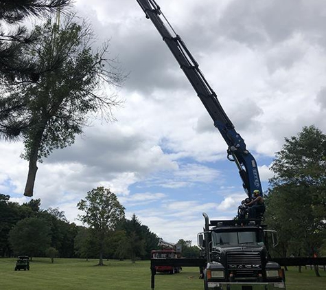 Todds Tree Service Inc - Mantua, OH