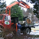 Myers and Laws Tree Service - Tree Service