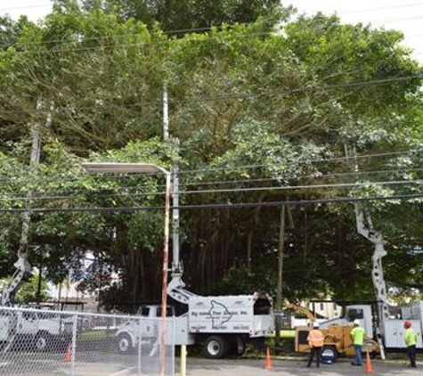 Big Island Tree Service Inc - Keaau, HI