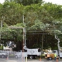 Big Island Tree Service Inc