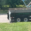 Ludivig Tree Service - Tree Service