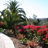 Precision Landscape Maintenance, Inc. gallery