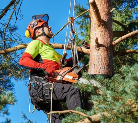 Tennett Tree Services Inc - Windham, CT