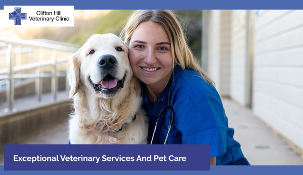 Clifton Hill Veterinary Clinic - Clifton Hill, VIC. Exceptional Veterinary Services And Pet Care