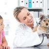 Bay Hills Animal Hospital gallery