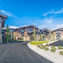 Springhill Suites By Marriott Island Park Yellowstone - Hotels