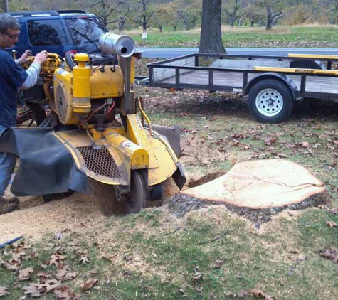 Brining's Stump Grinding - Hedgesville, WV