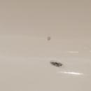 Tub Lady Plus One - Bathtubs & Sinks-Repair & Refinish
