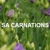 SA Carnations Pty Ltd