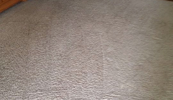 All American Carpet Cleaning - Manteno, IL