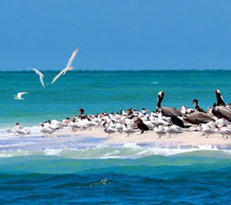 Passage Key Dolphin Tours - Bradenton Beach, FL