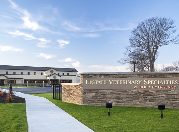 Upstate Veterinary Specialties - Latham, NY